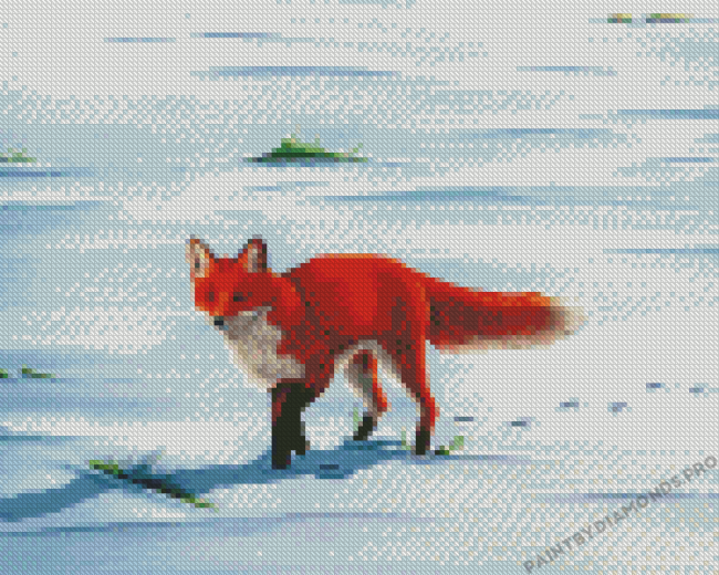 Red Fox In Snow Art Diamond Paintings