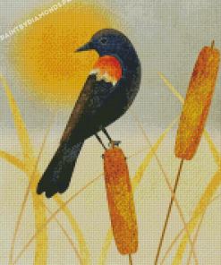 Red Winged Blackbird Art Diamond Painting