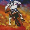 Ricky Johnson Motorcycle Racer Diamond Paintings