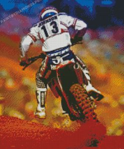 Ricky Johnson Motorcycle Racer Diamond Paintings