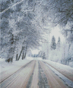 Snowy Winter Road Diamond Paintings