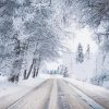 Snowy Winter Road Diamond Paintings