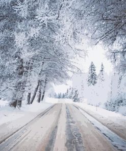 Snowy Winter Road Diamond Paintings