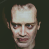 Steve Buscemi Actor Diamond Painting