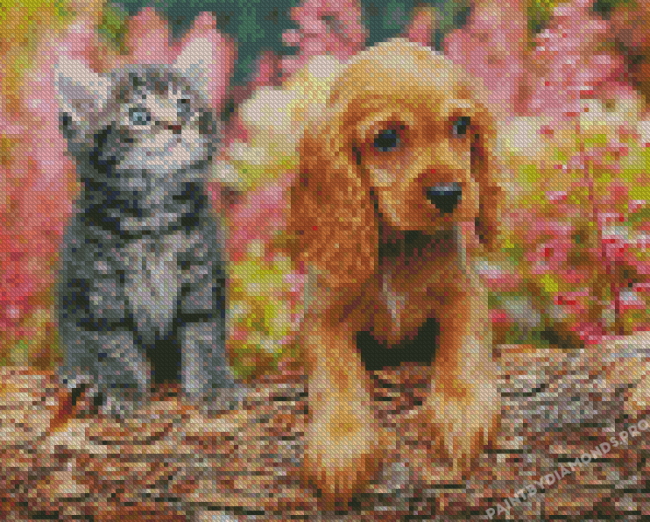 Tabby Kitten And Golden Spaniel Puppy Diamond Painting