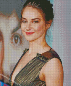 The Beautiful Shailene Woodley Diamond Paintings