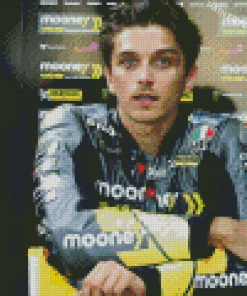 The Motorcycle Racer Luca Marini Diamond Paintings