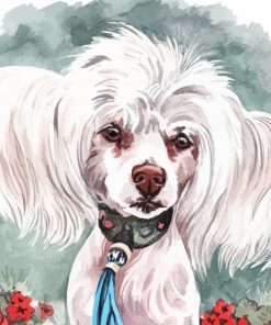 White Chinese Crested Dog Diamond Paintings