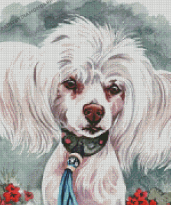 White Chinese Crested Dog Diamond Paintings