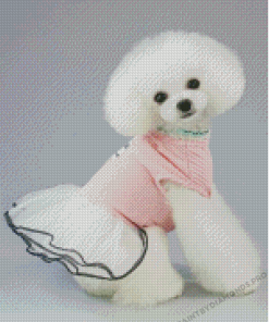 White Dog In Dress Diamond Paintings