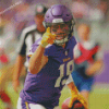 Aesthetic Adam Thielen Diamond Paintings