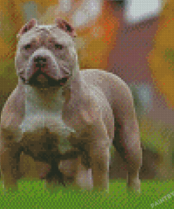 Aesthetic American Bully Diamond Painting