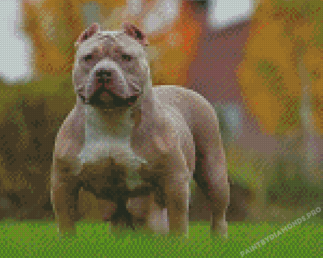 Aesthetic American Bully Diamond Painting