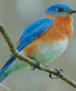 Aesthetic Bluebird Diamond Painting