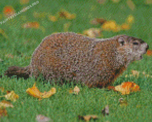 Aesthetic Groundhog Diamond Painting