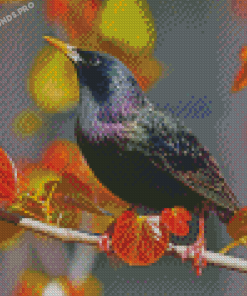 Aesthetic Starling Bird Diamond Paintings