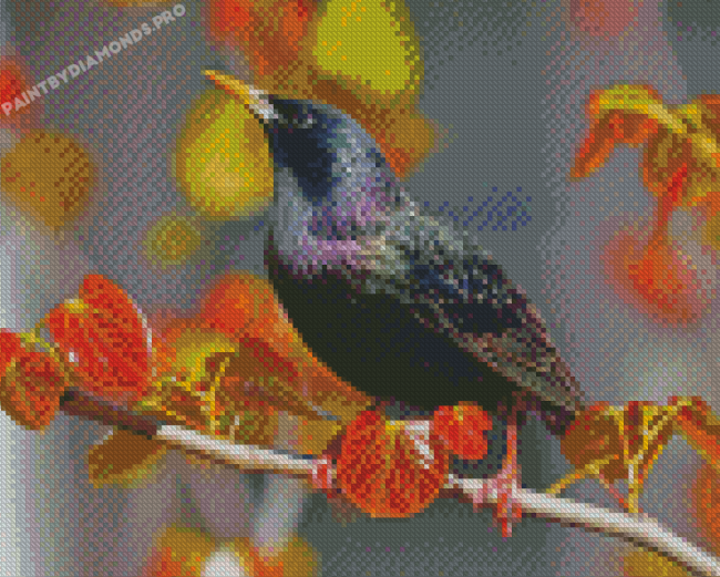 Aesthetic Starling Bird Diamond Paintings