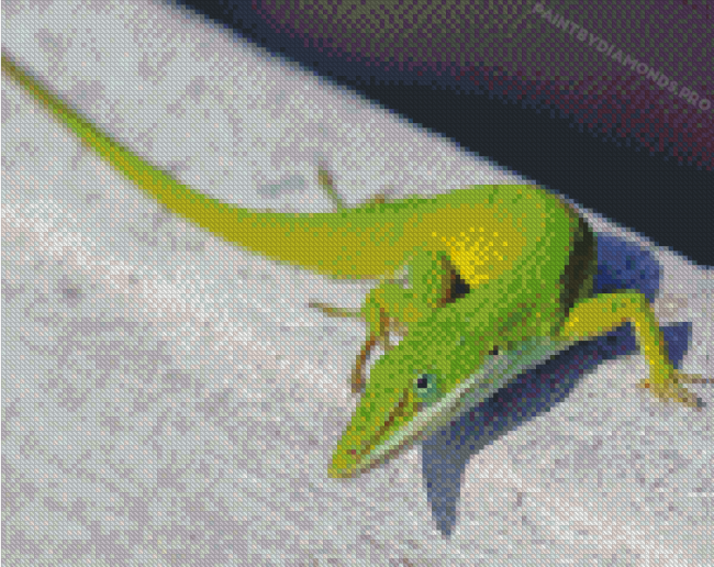 Anole Lizard Animal Diamond Paintings