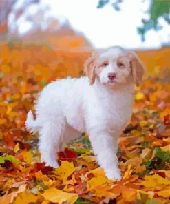 Autumn Golden Retriever Puppy Diamond Painting