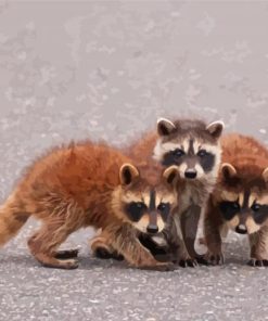 Baby Raccoons Diamond Painting