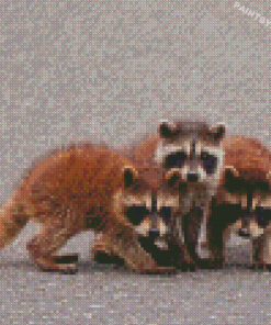 Baby Raccoons Diamond Painting