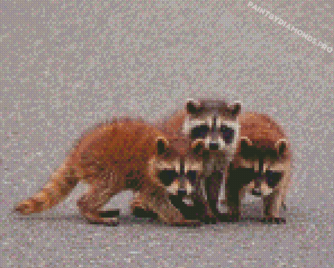 Baby Raccoons Diamond Painting