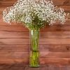 Babys Breath Gypsophila Glass Vase Diamond Paintings