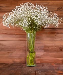 Babys Breath Gypsophila Glass Vase Diamond Paintings