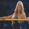 Barbie Blank WWE Kelly Kelly Diamond Painting