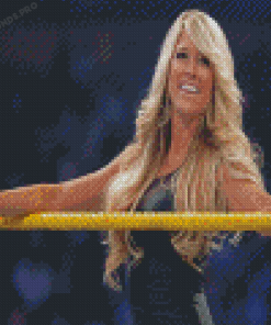 Barbie Blank WWE Kelly Kelly Diamond Painting