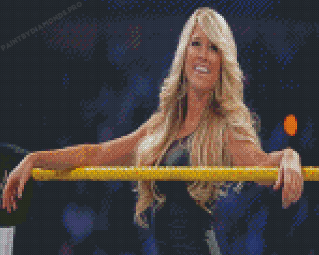 Barbie Blank WWE Kelly Kelly Diamond Painting