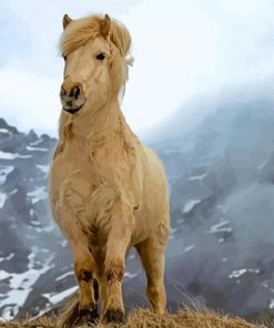 Beige Icelandic Horse Diamond Painting