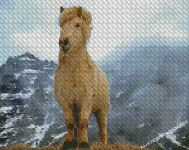 Beige Icelandic Horse Diamond Painting