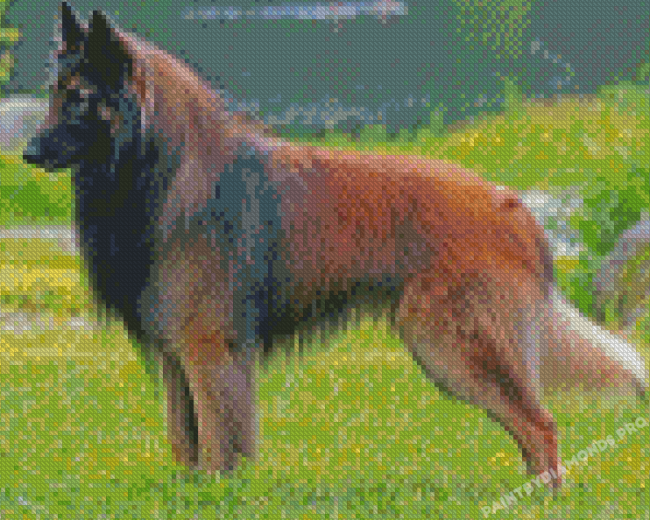 Belgian Tervuren Diamond Painting