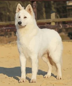 Berger Blanc Suisse Dog Diamond Painting