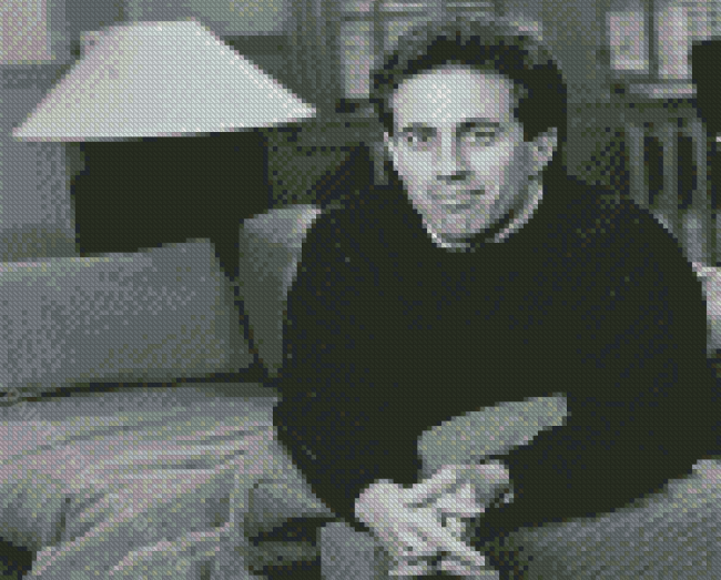 Black And White Jerry Seinfeld Diamond Painting