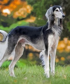 Black And White Saluki Diamond Painting