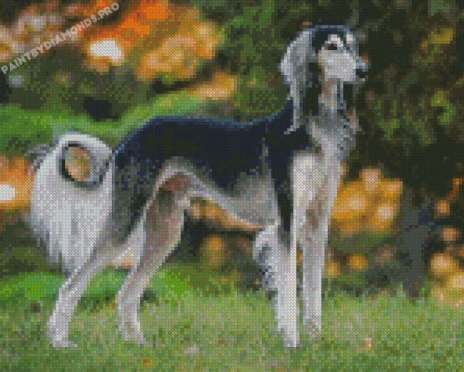 Black And White Saluki Diamond Painting