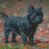 Black Cairn Terrier Dog Diamond Painting