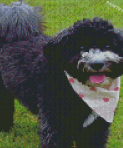 Black Cockapoo Dog Diamond Painting