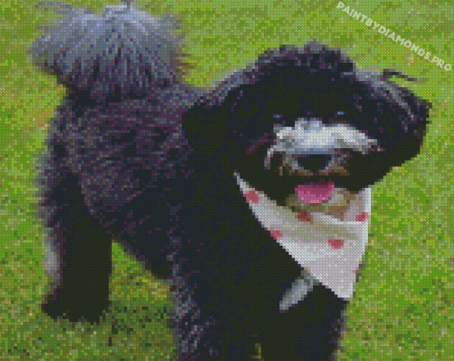 Black Cockapoo Dog Diamond Painting