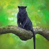 Black Jaguar Diamond Paintings