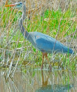 Blue Crane Bird Diamond Paintings