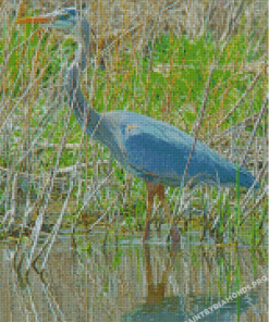 Blue Crane Bird Diamond Paintings