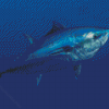 Blue Fish Tuna Underwater Diamond Painting