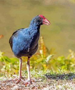 Blue Pukeko Bird Diamond Painting