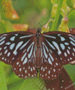 Blue Tiger Butterfly Insect Diamond Painting