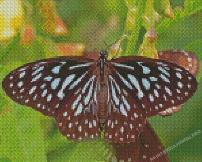 Blue Tiger Butterfly Insect Diamond Painting