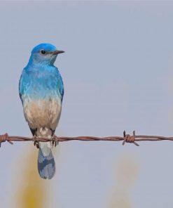 Bluebird On Wire Diamond Painting