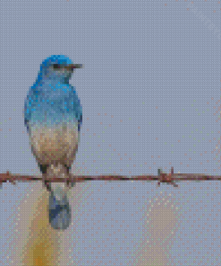 Bluebird On Wire Diamond Painting